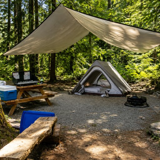 Camping Site