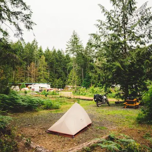 Camping Site